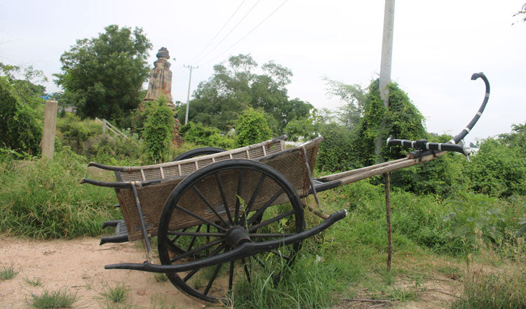 Cambodia&#8217;s ancient Mercedes-Benz, the ox-cart