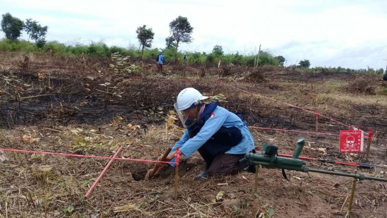 Resources needed to hit demining goal