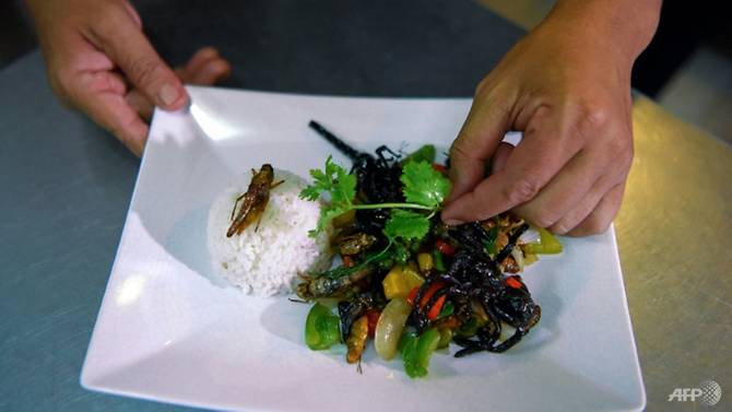 This story has legs: Cambodia &#8216;bug cafe&#8217; serves up insect tapas